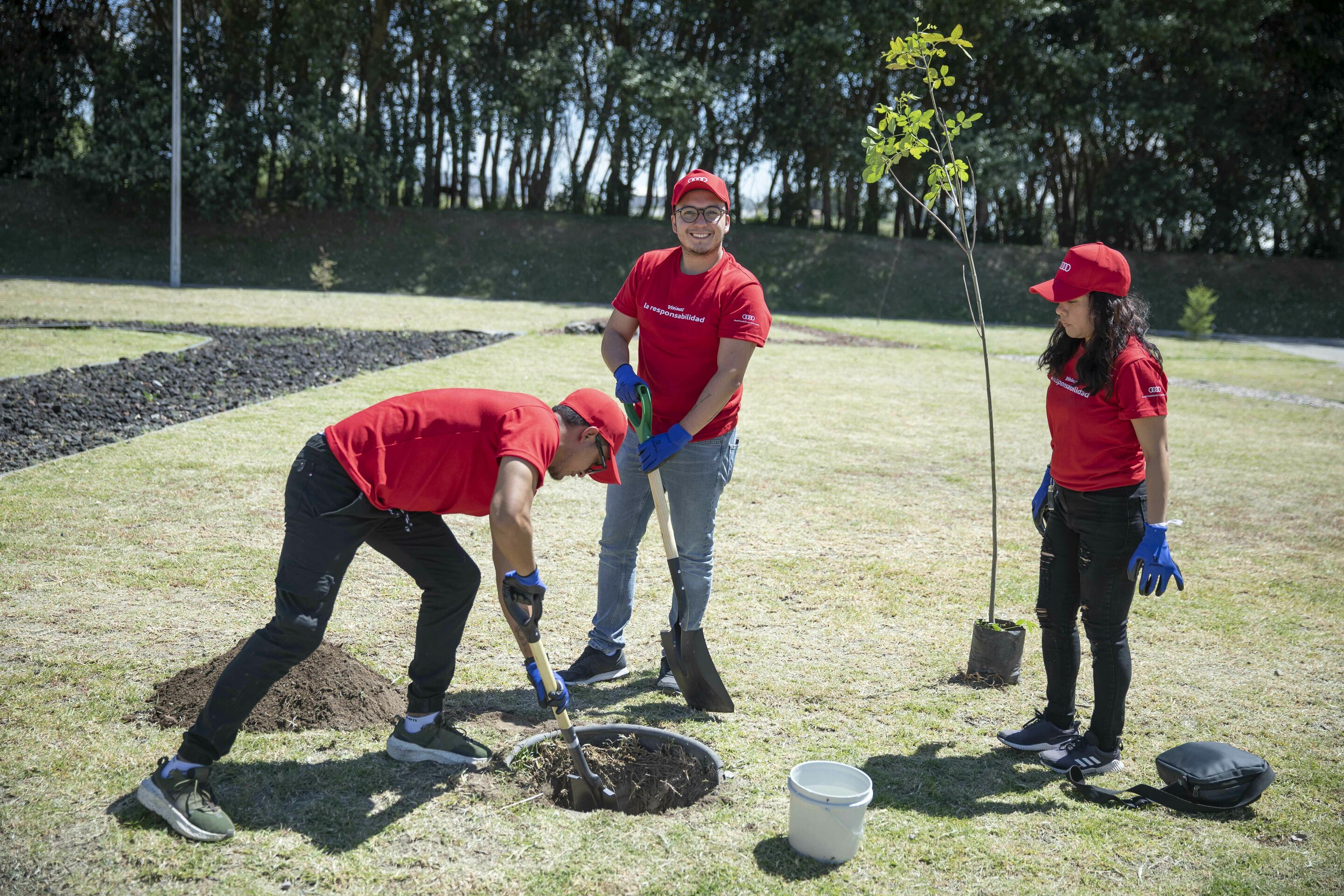 Audi Social Day
