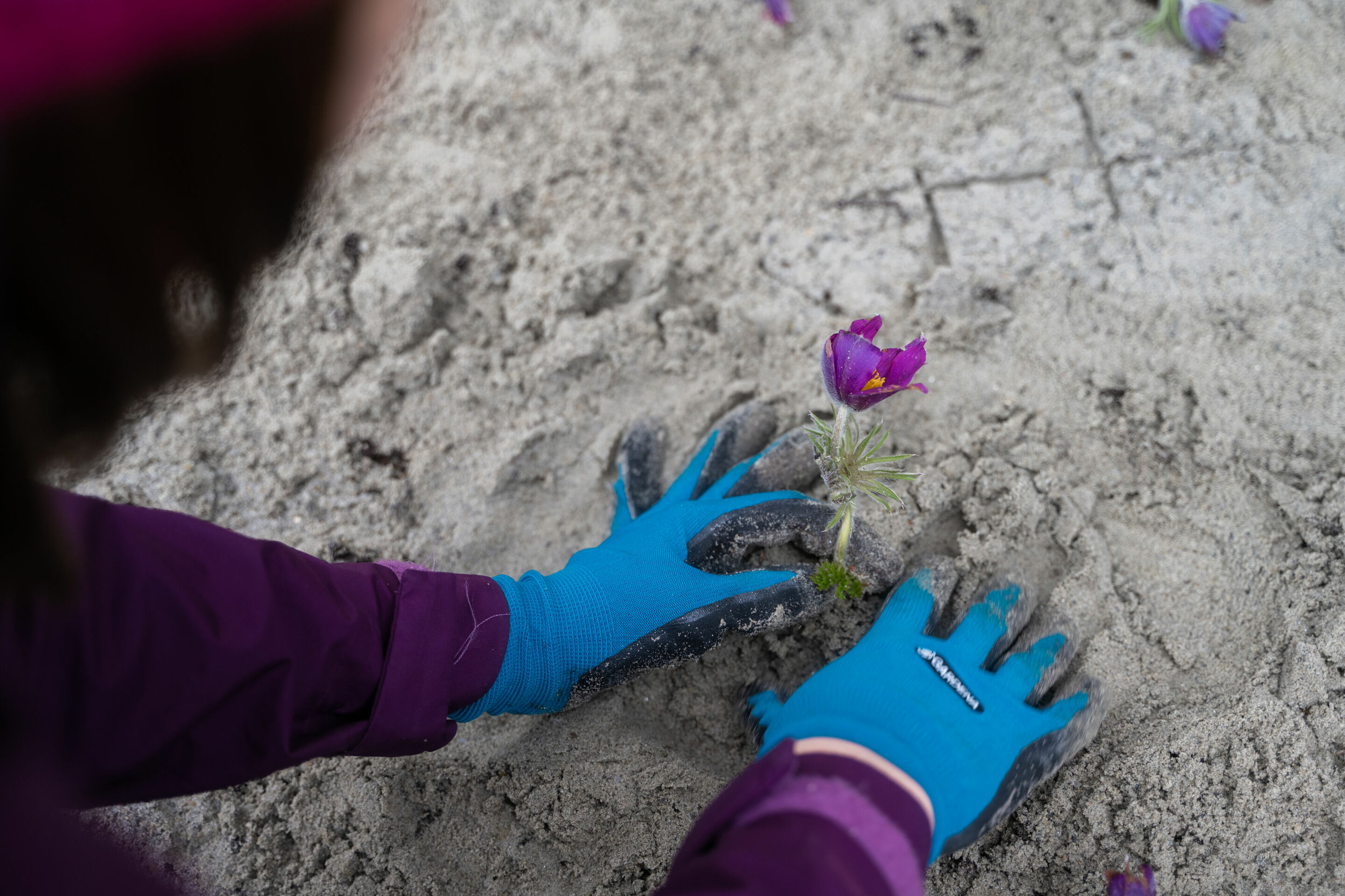 Protecting biodiversity